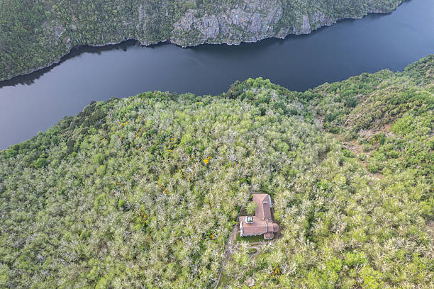 Aerial Drone View of a Monastery Hidden in a Forest