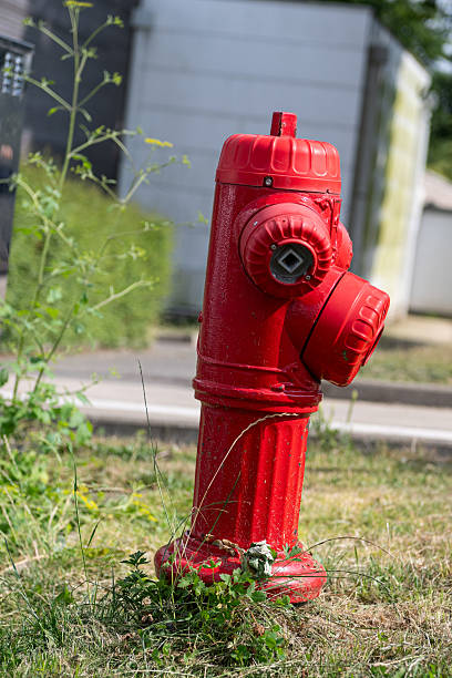 istock A red fire hydrant in a public park. This fire hydrant symbolizes public safety, emergency preparedness, and urban infrastructure. 2225759086