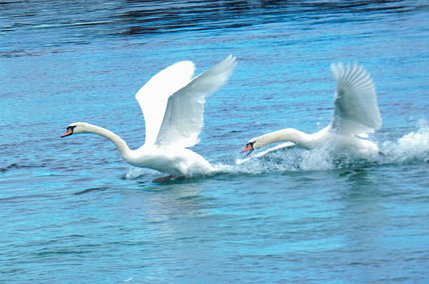 Photo taken in Nieuwegein, Netherlands