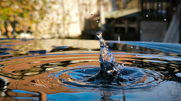istock water drops splashing on the water surface 2225760484