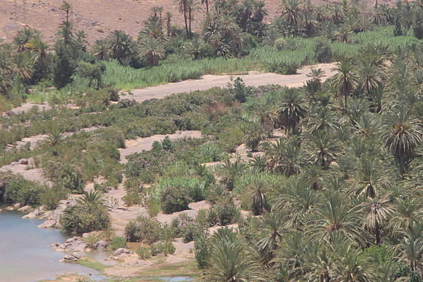 arid riverbed of the Handour river between the mountains parched by the desertification of the Moroccan Atlas in the Handour valley between Berber villages near Ouarzazate in Morocco