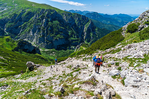 Two hikers with backpacks descend rocky mountain trail surrounded by green slopes and views of deep valley in Tatra Mountains near Zakopane, Poland under clear sunny sky