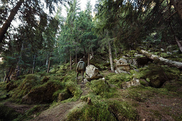 A man in a green puffer jacket stands amidst a mossy forest with tall trees and rocky terrain. Ideal for high-quality content focusing on nature exploration, adventure, and outdoor activities.