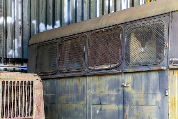 Vintage school bus left to rust near an old barn.  Mild cross processing.