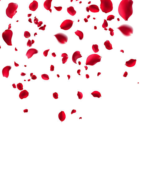 istock Beautifully Falling Deep Red Rose Petals Symbolizing Passionate Love, Desire, and Profound Romance Perfect Background for Special Occasions Like Valentine's Day Weddings or Designs That Aim to Convey Enchantment and Elegance 2225770636