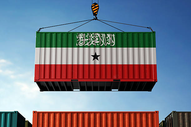 istock Somaliland trade cargo container hanging against clouds background 2225772111