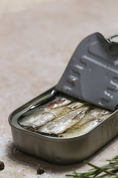 istock Overhead view of open sardine tin, great source of daily protein intake 2225777327