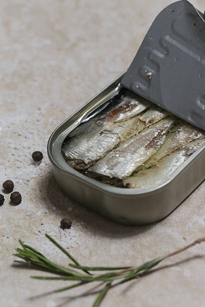 istock Overhead view of open sardine tin, great source of daily protein intake 2225777330