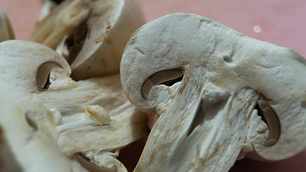 istock Half a champignon. Champignon cut in half. The mushroom is cut in half 2225779366