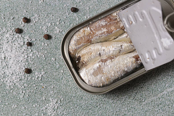 istock Overhead view of open sardine tin, great source of daily protein intake 2225779679