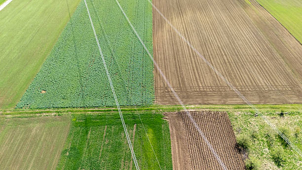 istock Aerial view of diverse agricultural fields showcasing different crop patterns and colors, with power lines running through the landscape under sunny weather. 2225780374