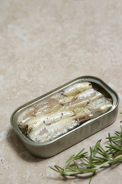 istock Overhead view of open sardine tin, great source of daily protein intake 2225780474