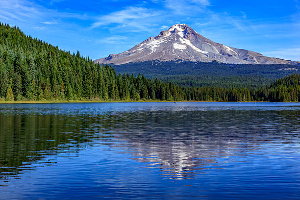 A serene view of Mount Hood reflected in the calm waters of Trillium Lake, surrounded by forested shores.