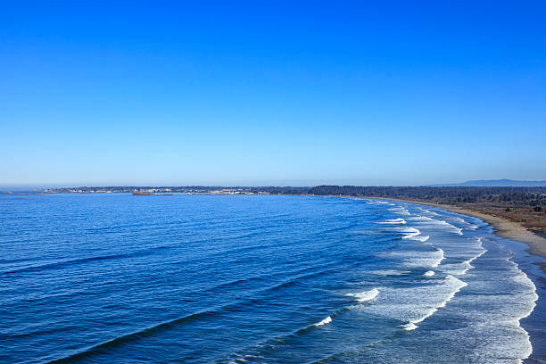 istock Crescent Beach near Crescent City, California 2225782285