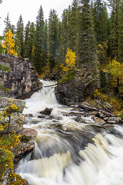 istock Autumn River with Cascading Water in Wilderness 2225784133