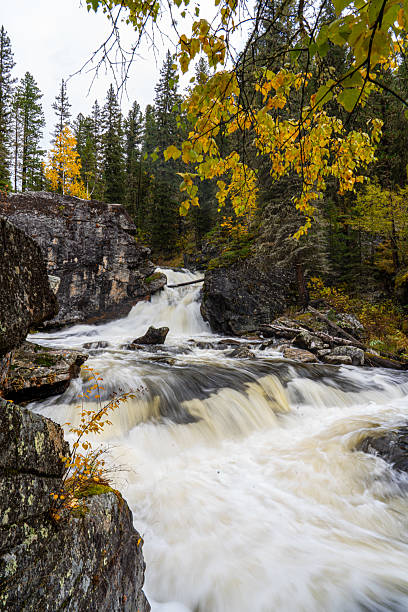 istock Dynamic Flow of River in Autumn Forest 2225784349