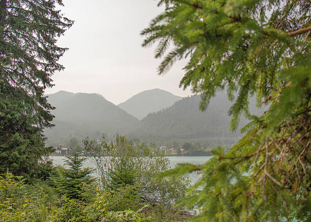 istock Scenic mountain lake view framed by pine tree branches in summer 2225787113