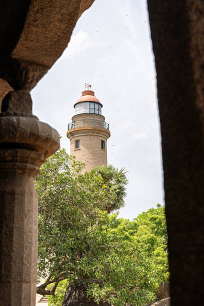 istock A lighthouse is seen from the side, with a tree in front of it 2225790899