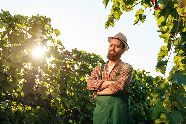 Bottom view young male worker farmer look into distance stand vineyard inspect harvest smile contented put hands on chest. Winemaker with beard hat is pleased green plants, rays peek through leaves.