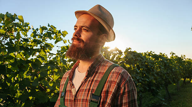 Front view looking into the distance up young man worker winemaker in a hat with a beard enjoys the sun that shines from behind. The winemaker farmer is calm and happy for his work. Copy space.