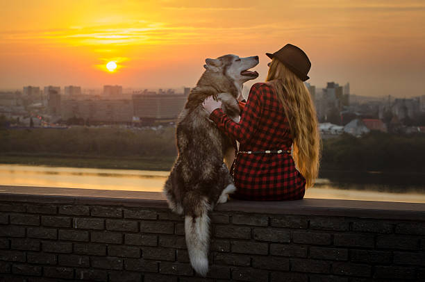 istock Sunset bonding with husky on city wall 2225794514