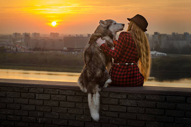 istock Sunset bonding with husky on city wall 2225794533