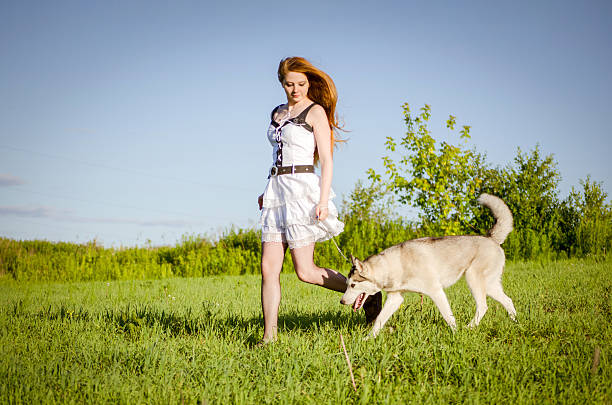 istock Young woman walks dog in sunlit meadow 2225794673