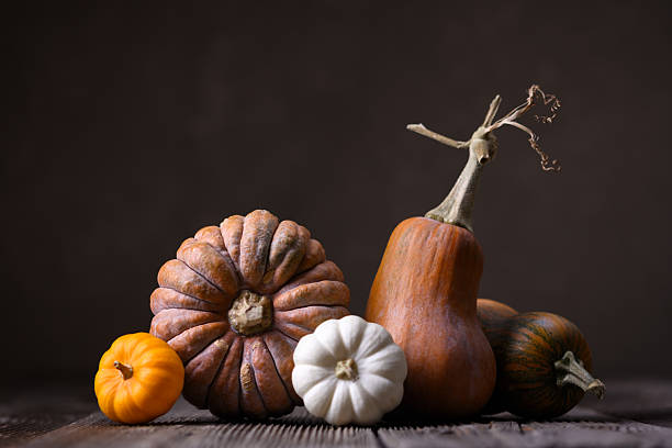 istock Cozy pumpkins in various shapes placed on wooden surface 2225796711
