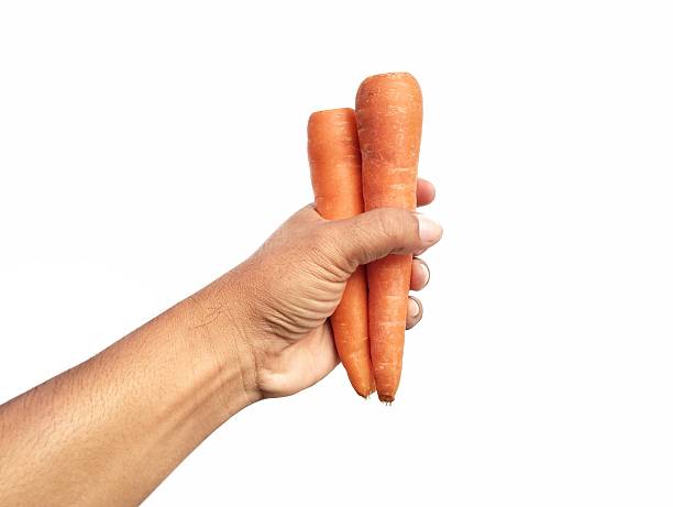 Man hand holding fresh carrots isolated on white background. Element for creative design