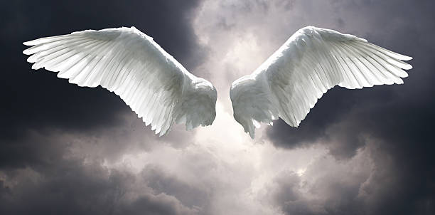 Angel wings against stormy sky background.