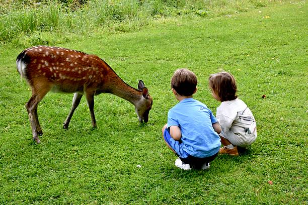 Two children loving nature