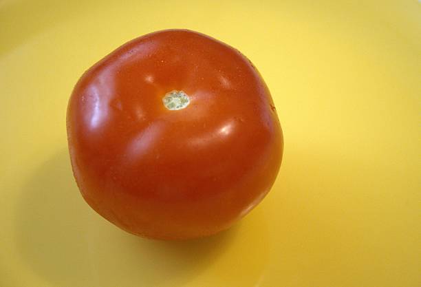 istock One whole tomato on yellow plate close up. 2225819629