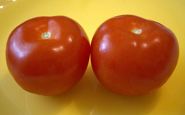 istock Two whole tomatoes on yellow plate close up. 2225819655