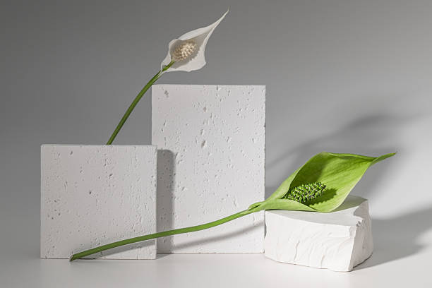 istock Greeting card, invitation, product presentation in minimalist style with plaster figures and spathiphytum flowers. 2225829167