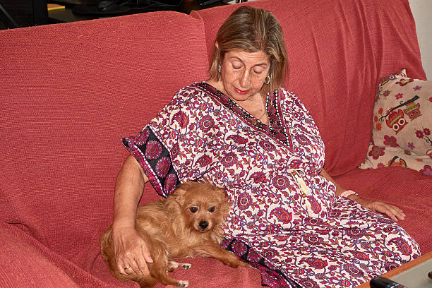istock A quiet moment shared between an elderly woman and her reddish dog on a living room sofa decorated in soft tones 2225835166