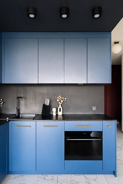 istock Modern electric oven integrated into stylish blue kitchen cabinetry 2225835524