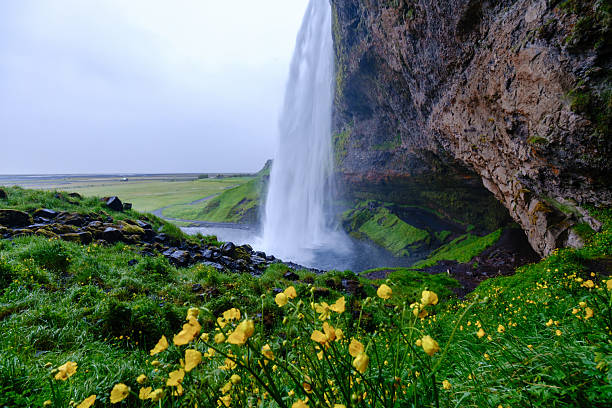 Encounter the stunning Seljalandsfoss waterfall in Iceland, cascading gracefully over rugged cliffs.