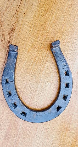 istock Cake iron horseshoe luck fortune lucky 2225838890
