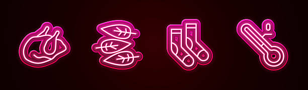 istock Set line Roasted turkey or chicken, Leaf leaves, Socks and Meteorology thermometer. Glowing neon icon. Vector 2225840601