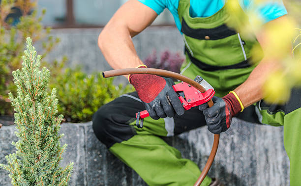 istock Gardener Preparing Tools and Equipment for Landscaping Work in a Modern Outdoor Setting 2225842341