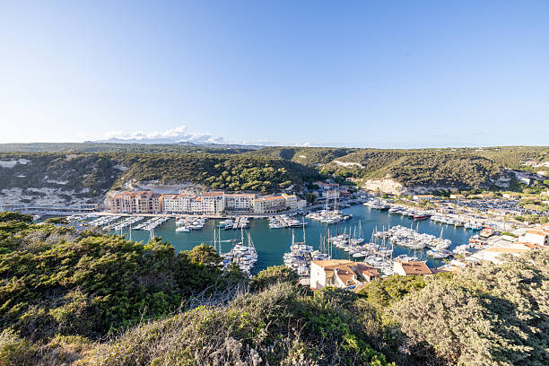 A vibrant marina filled with yachts and boats nestled between green hills under a clear blue sky. Coastal harbor with residential buildings and lush vegetation surrounding the water. Mediterranean seaside port view.