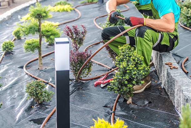 istock Gardener Installing Irrigation System in Landscaped Garden During Sunny Day 2225842541