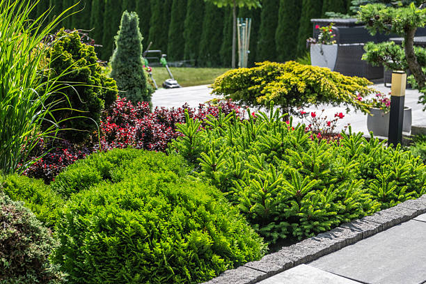istock Lush Garden Landscape Featuring Vibrant Shrubs and Manicured Greenery in Bright Sunlight 2225843117