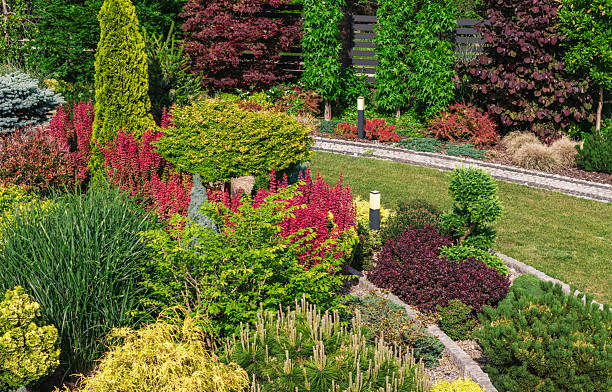 istock Vibrant Garden Filled With Colorful Plants and Lush Greenery Under Bright Sunlight 2225843876