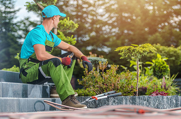istock Gardener Resting While Planning Next Steps in Landscaped Garden During Sunny Afternoon in Residential Area 2225844805