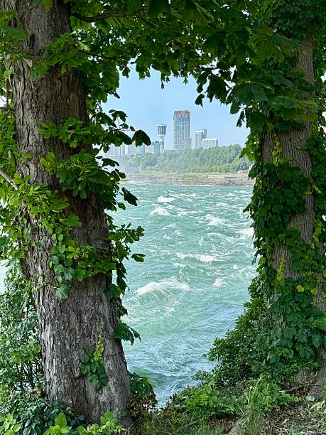 “Holiday Flow:Niagara River on Independence Day”