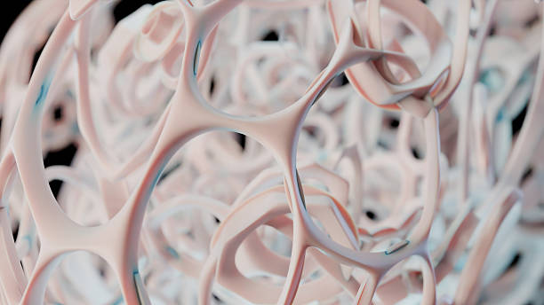 istock Human spongy bone tissue, healthy osteoporosis structure, 3d render 2225848358