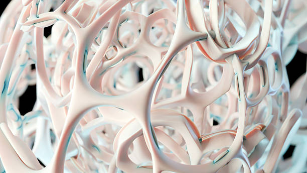 istock Human spongy bone tissue, healthy osteoporosis structure, 3d render 2225848450