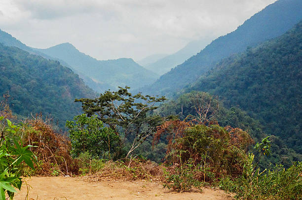 istock Lush Green Tropical Valley Surrounded by Rolling Mountain Ranges and Forests 2225849293