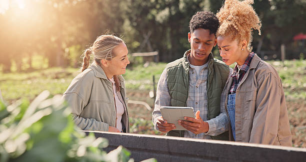 istock Farming, tablet and inspection with people or team for vegetable checklist, crops supply chain and logistics. Delivery, agriculture and harvest with farmers in countryside for sustainability 2225852419
